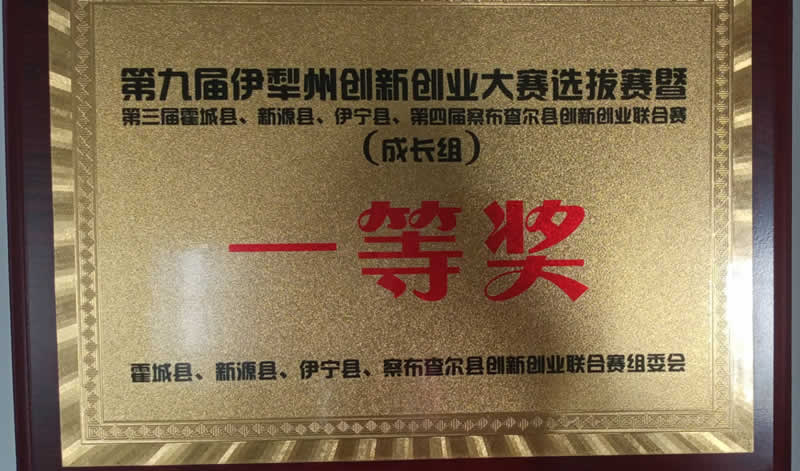 第九届伊犁州创新创业大赛一等奖