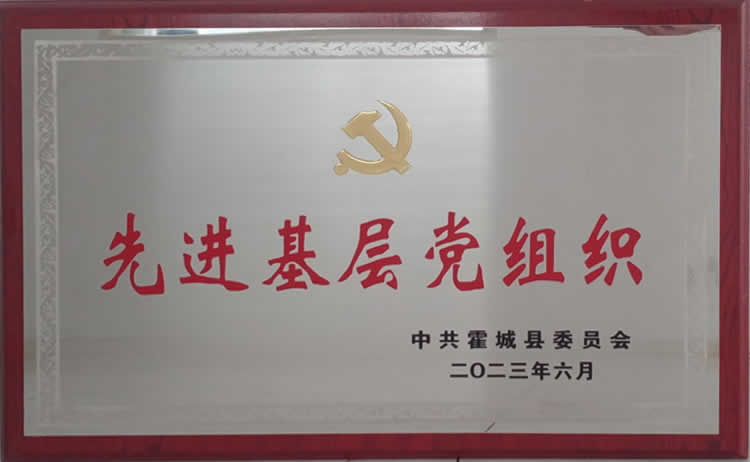 先进基层党组织