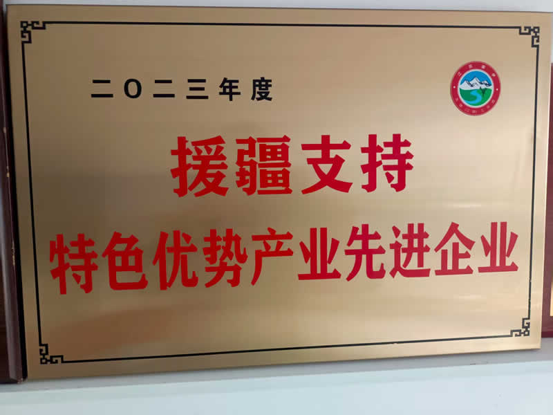 援疆支持特色优势产业先进企业