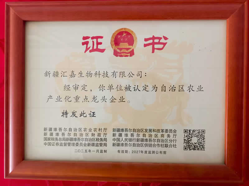 自治区龙头企业