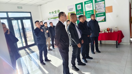 Deputy Director of the Ministry of Science and Technology Visits Huijia Biotechnology in Xinjiang—Technology Aid Boosts High-Quality Development of Stevia Sweetener Industry Chain